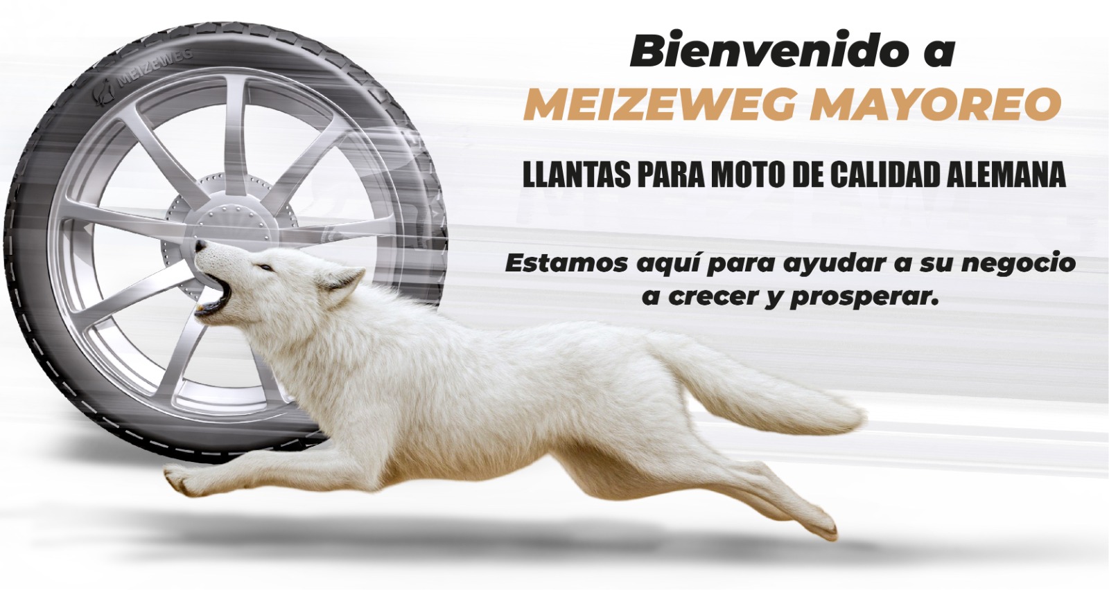 WhatsApp Image 2025-11-03 at 11.57.59 AM